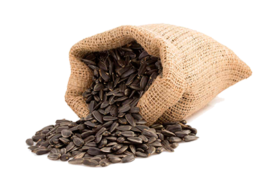 1 sunflower seeds PNG32